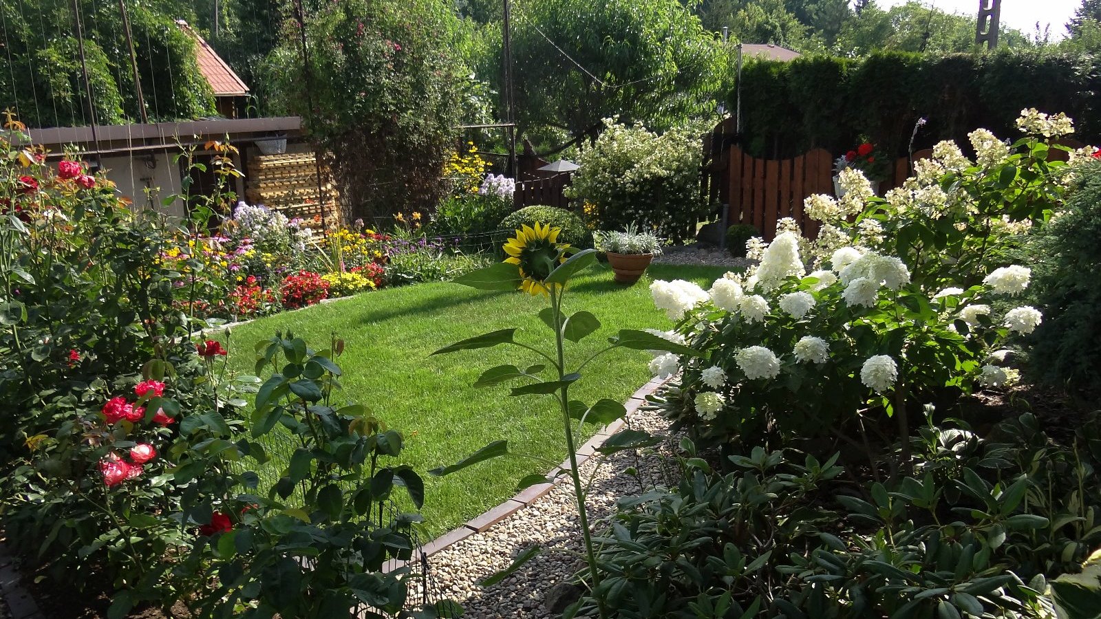 widok na piękny, bujny ogród. Zielony trawnik i okalające go rabaty z kwiatami