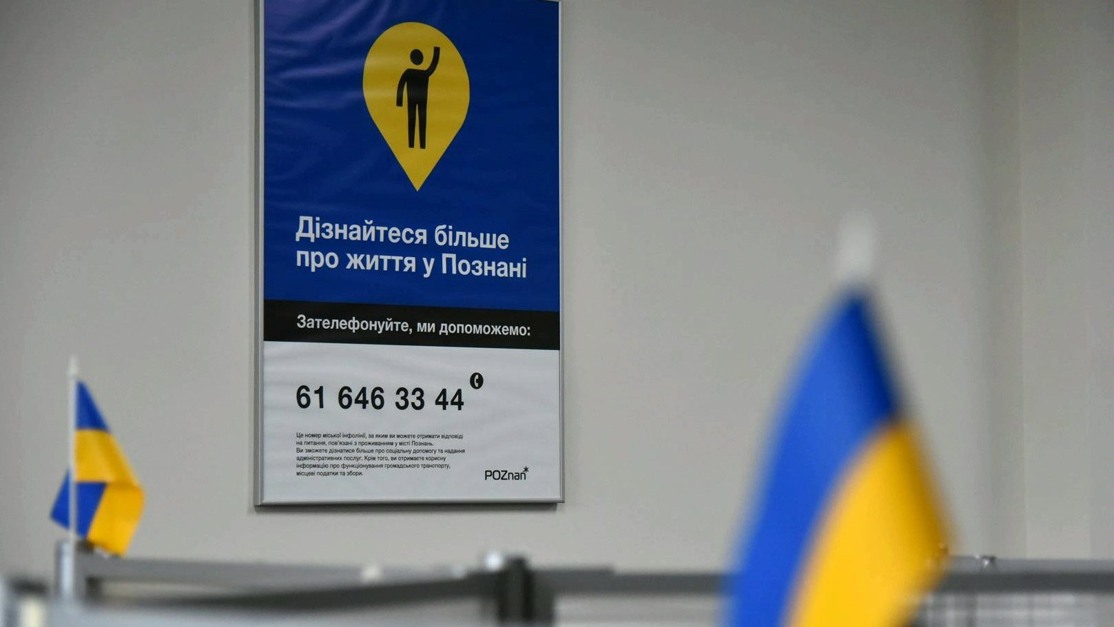 Plakat Miejskiej infolinii 61 646 33 44 oraz flagi ukraińskie