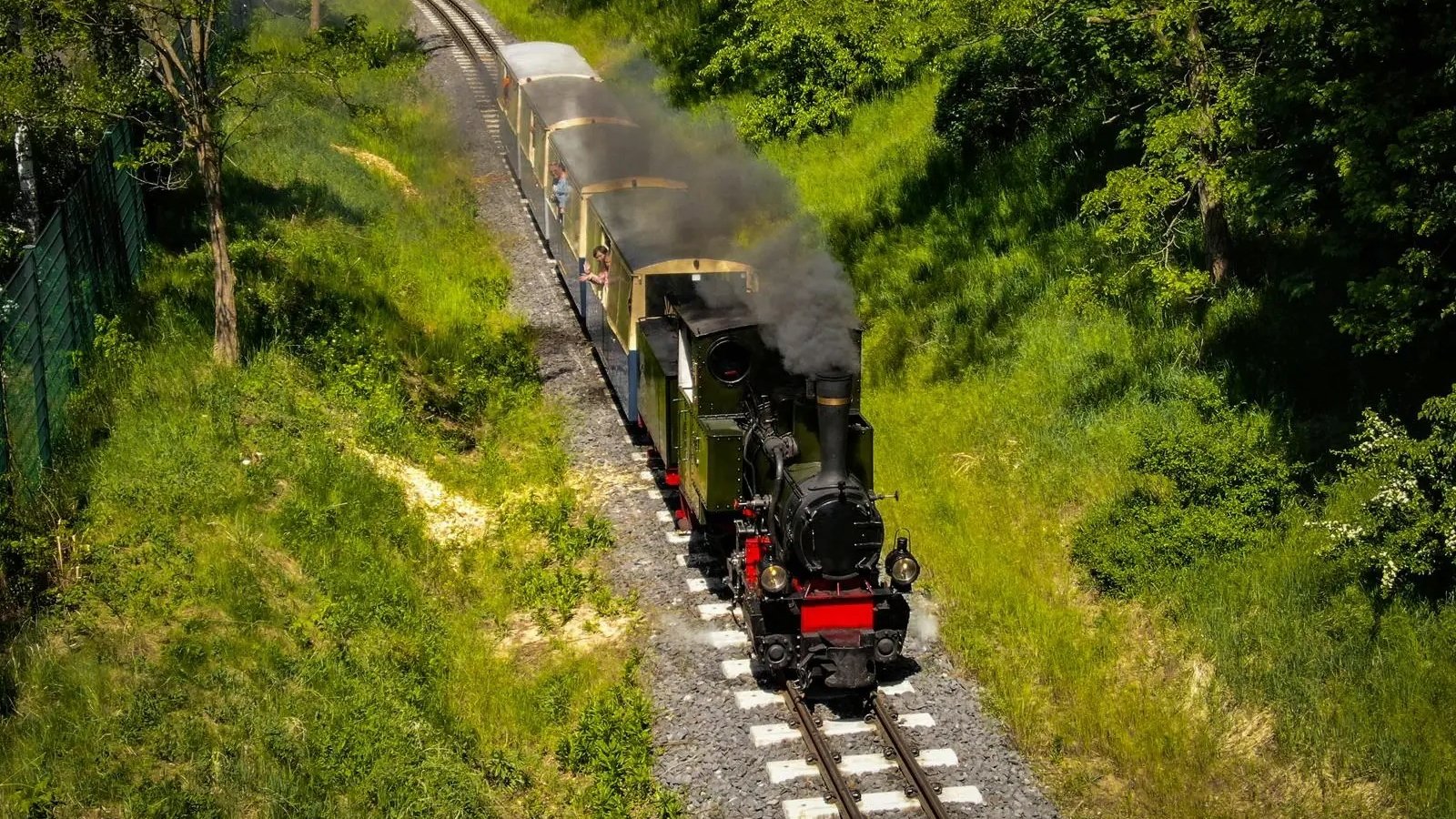 Jadąca Kolej Maltanka w otoczeniu zieleni