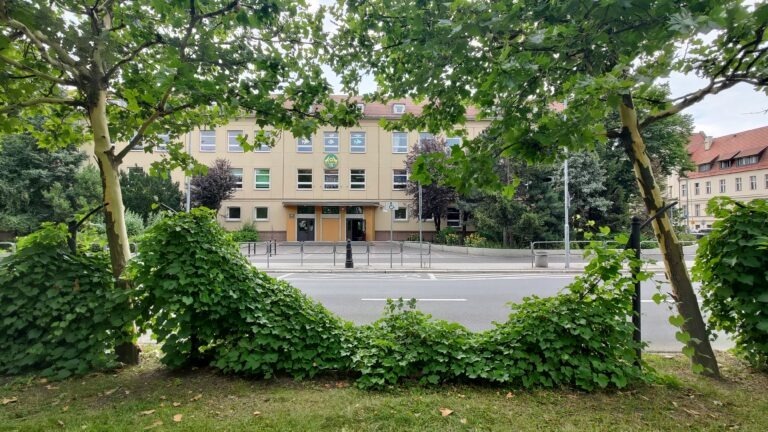 Na pierwszym planie zieleń przy uliczna w tle budynek szkoły podstawowej numer 13 w Poznaniu. Budynek ma dwa piętra i poddasze pokryte dachówką