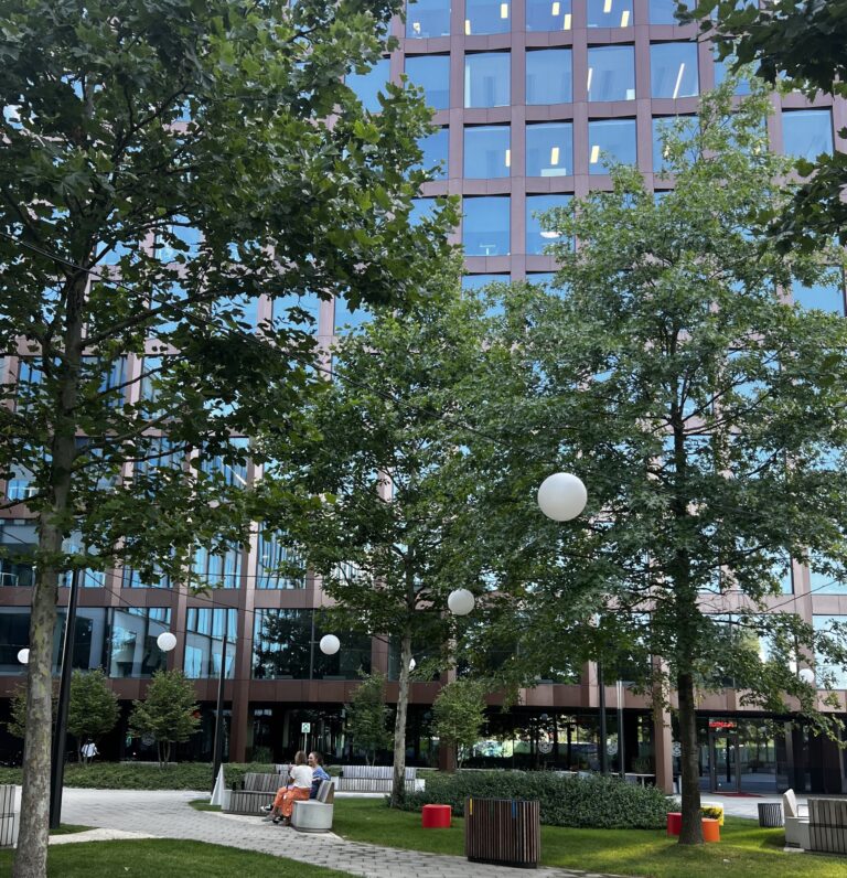 Na pierwszym planie zielona drzewa, pomiędzy nimi chodnik. W tle biurowiec