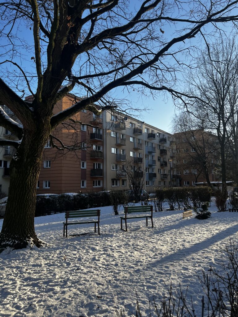 Fragment terenu pod śniegiem. W tle drzewa oraz blok mieszkalny