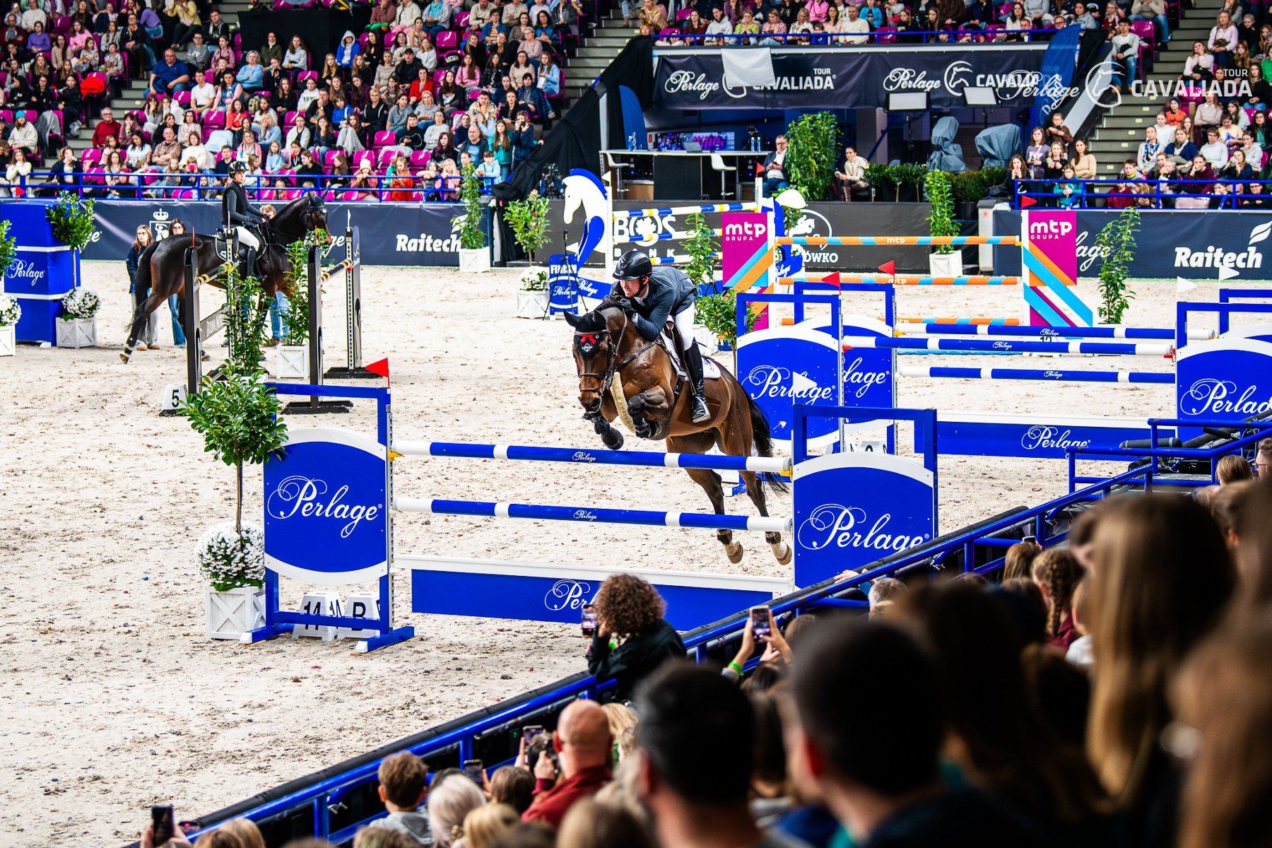 cavaliada 2026 fot MTP